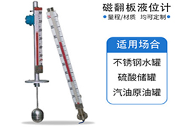 高壓磁翻柱液位計